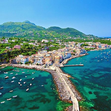 Villa To Ischia With Love Exterior foto